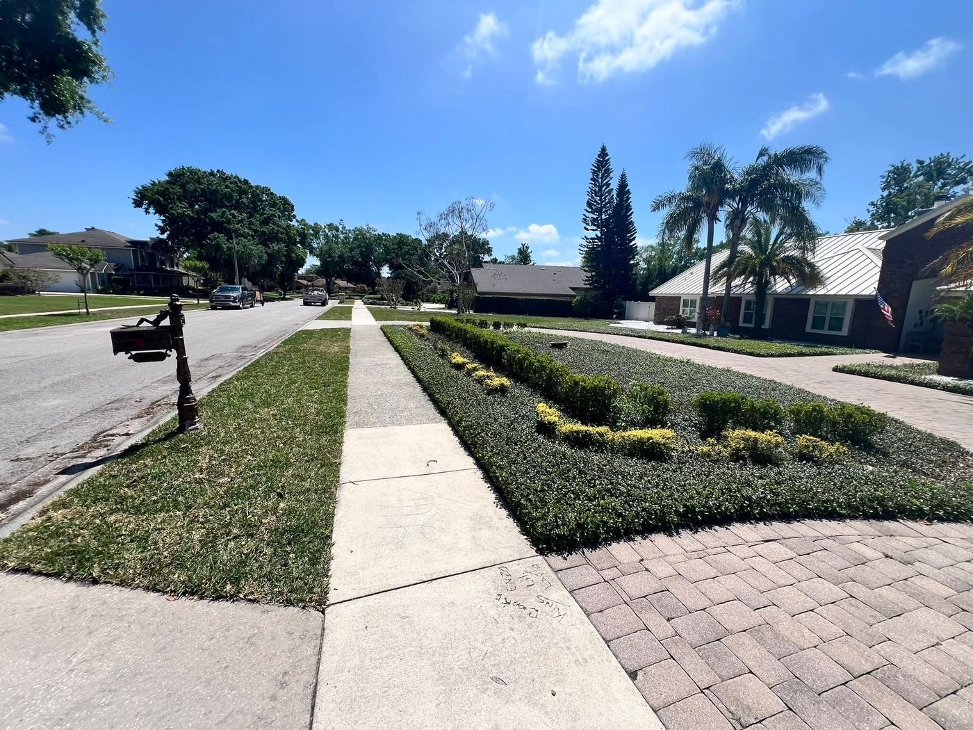 Long low hedges clipped square with yellow variegated shrubs between them, running beside a paver driveway and a sidewalk.