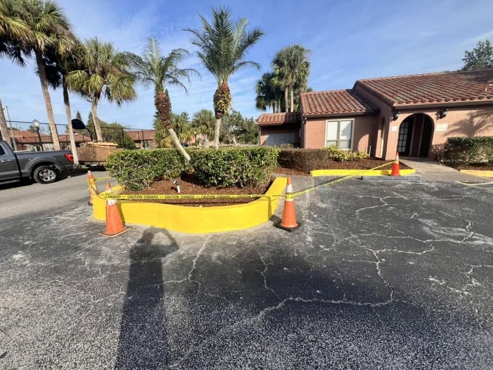 A commercial parking island planted with palms and clipped hedge, its kerb freshly painted yellow, with traffic cones and caution tape still in place.