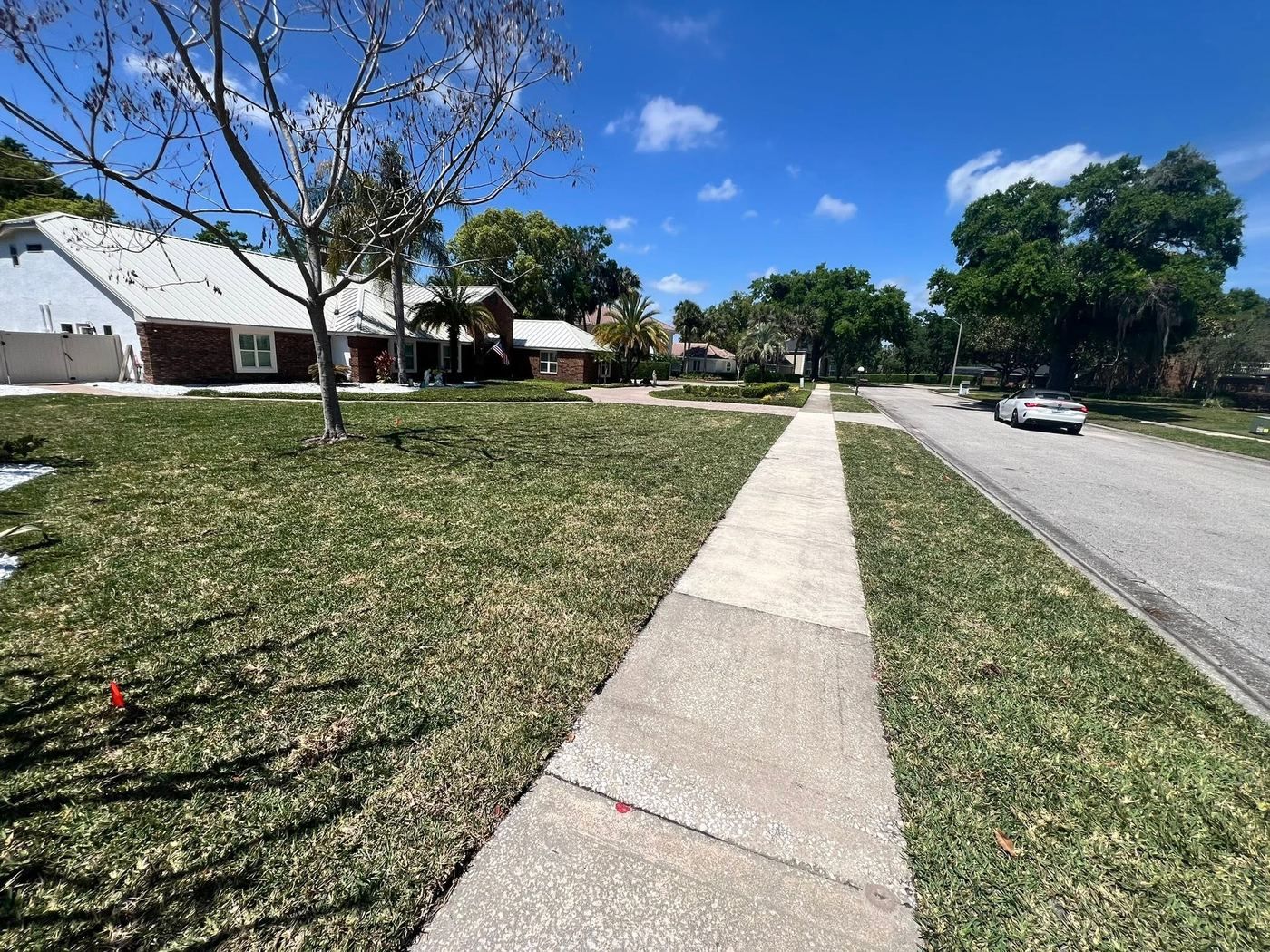 Green turf on both sides of a straight public sidewalk running the length of a residential street frontage.